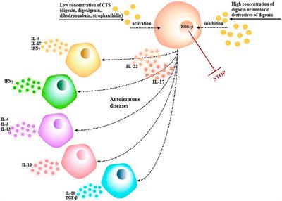 Research Progress in Pharmacological Activities and Applications of Cardiotonic Steroids